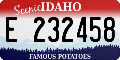 ID license plate E232458