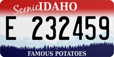 ID license plate E232459