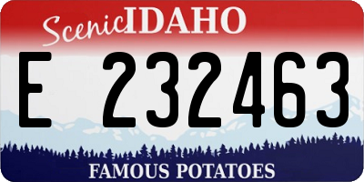 ID license plate E232463