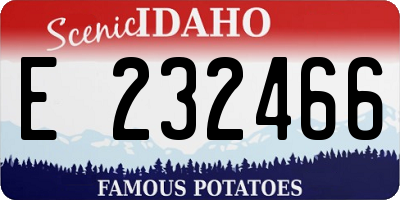 ID license plate E232466