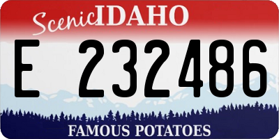 ID license plate E232486