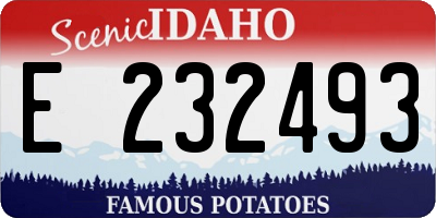 ID license plate E232493