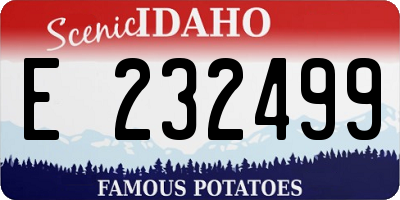 ID license plate E232499