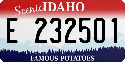ID license plate E232501