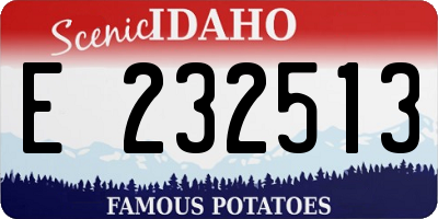 ID license plate E232513