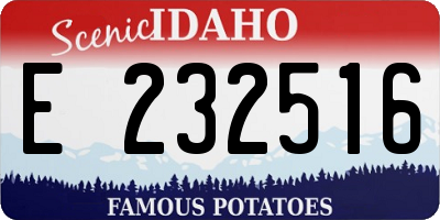 ID license plate E232516