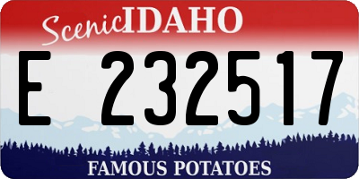 ID license plate E232517
