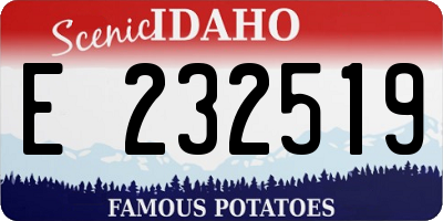 ID license plate E232519