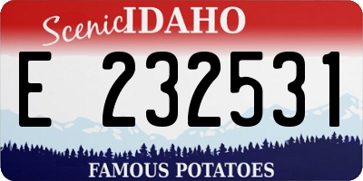 ID license plate E232531