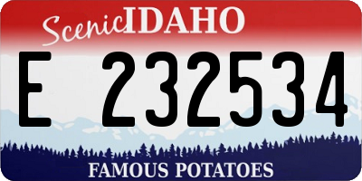 ID license plate E232534
