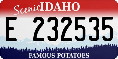 ID license plate E232535