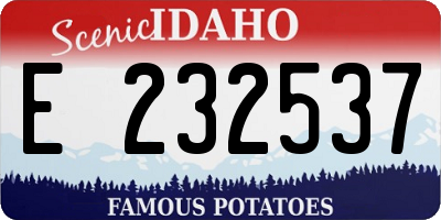 ID license plate E232537