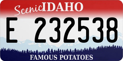 ID license plate E232538