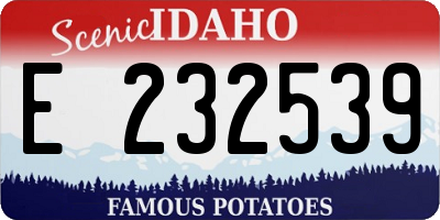 ID license plate E232539