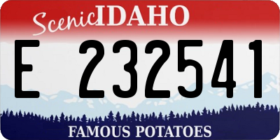 ID license plate E232541