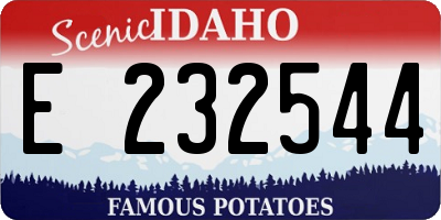 ID license plate E232544