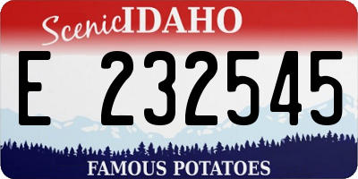ID license plate E232545