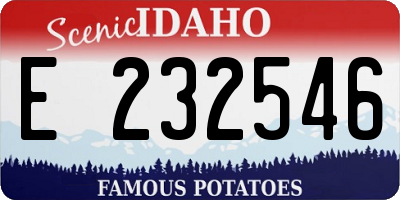 ID license plate E232546