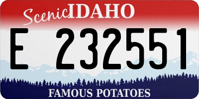 ID license plate E232551