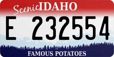 ID license plate E232554
