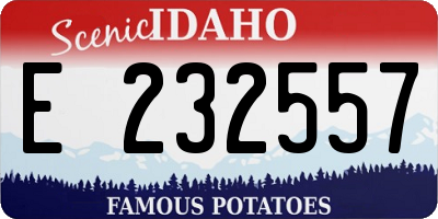 ID license plate E232557