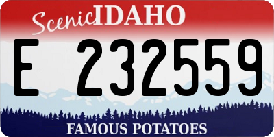 ID license plate E232559