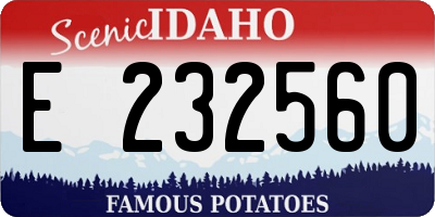 ID license plate E232560