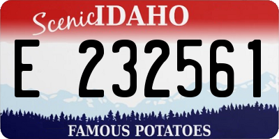 ID license plate E232561