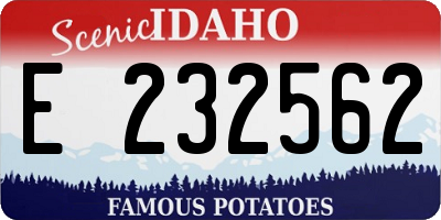 ID license plate E232562