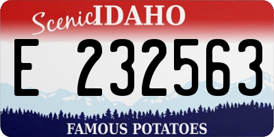 ID license plate E232563