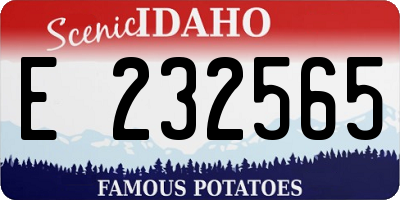 ID license plate E232565