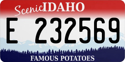 ID license plate E232569