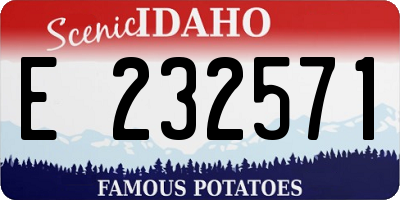 ID license plate E232571