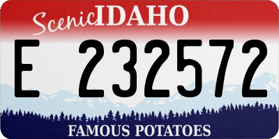 ID license plate E232572