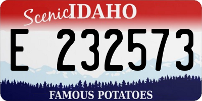 ID license plate E232573