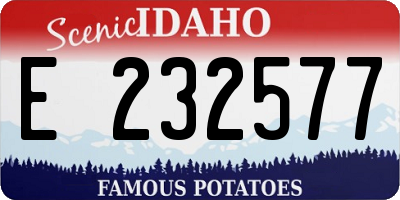 ID license plate E232577