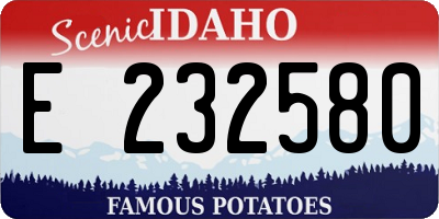 ID license plate E232580