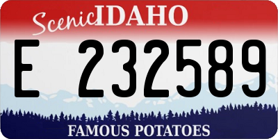 ID license plate E232589