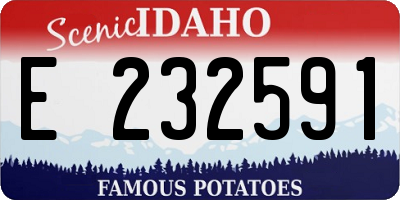 ID license plate E232591