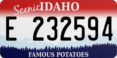 ID license plate E232594
