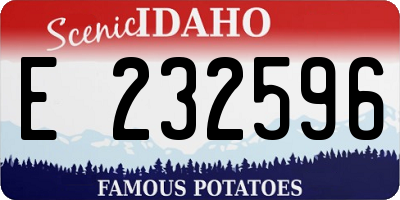 ID license plate E232596