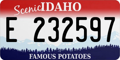 ID license plate E232597