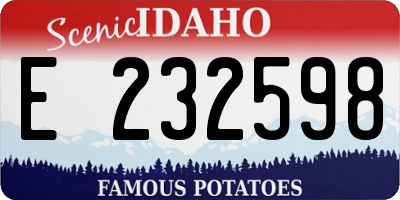 ID license plate E232598