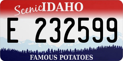 ID license plate E232599