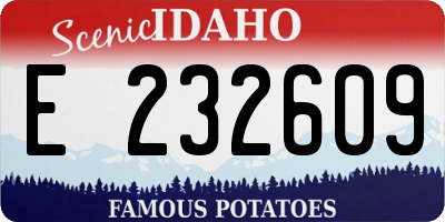 ID license plate E232609