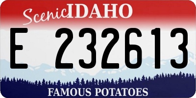 ID license plate E232613