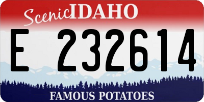 ID license plate E232614