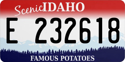 ID license plate E232618