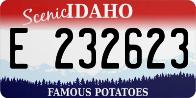 ID license plate E232623