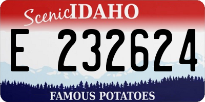 ID license plate E232624